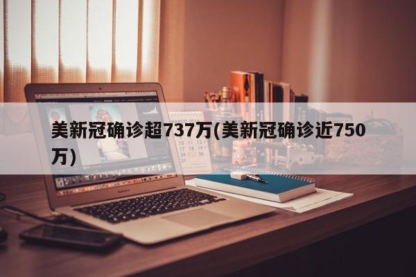 美新冠确诊超737万(美新冠确诊近750万)